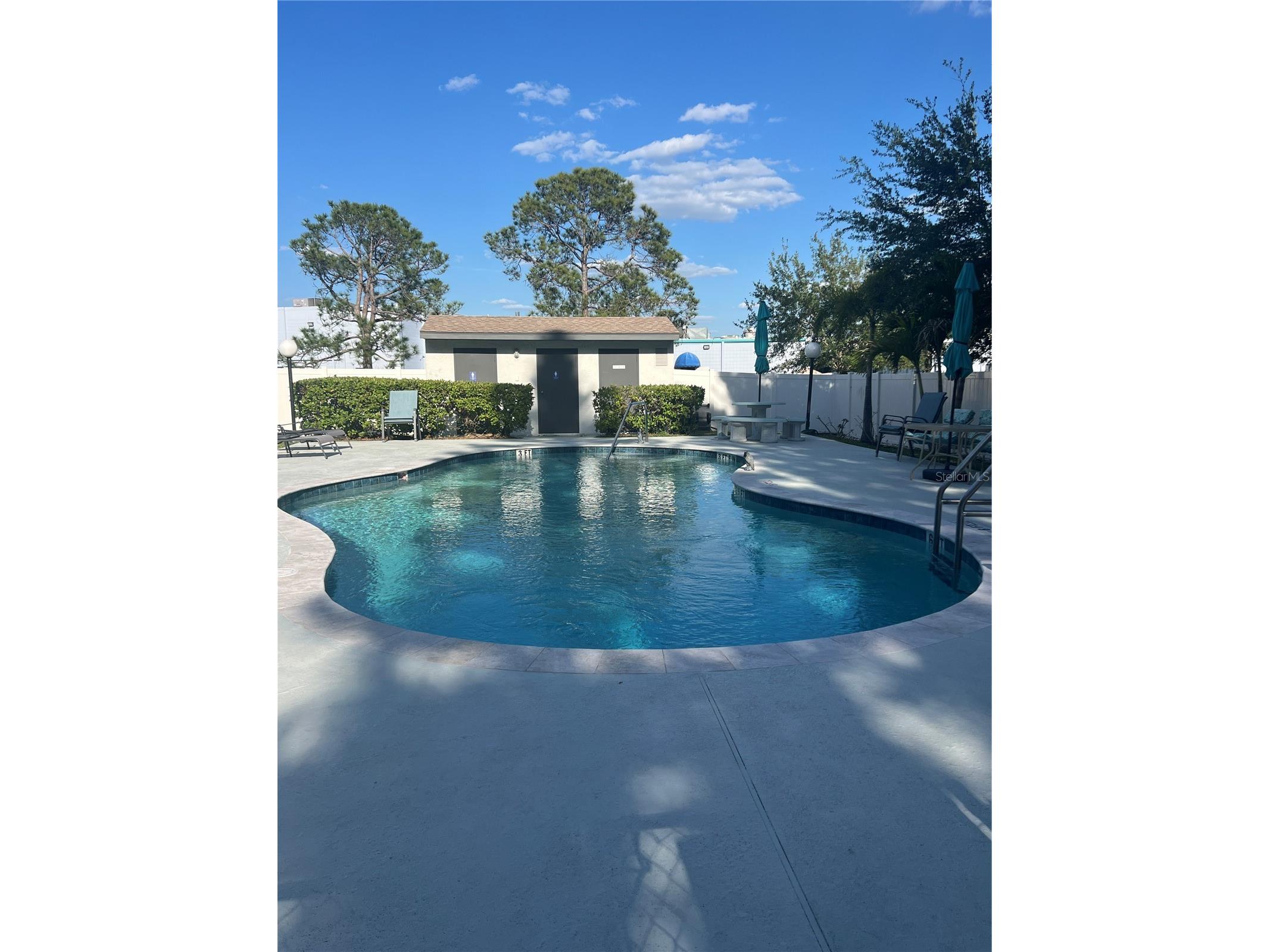 2651 Michael Place #307 Dunedin FL 34698 TB8499437 image2