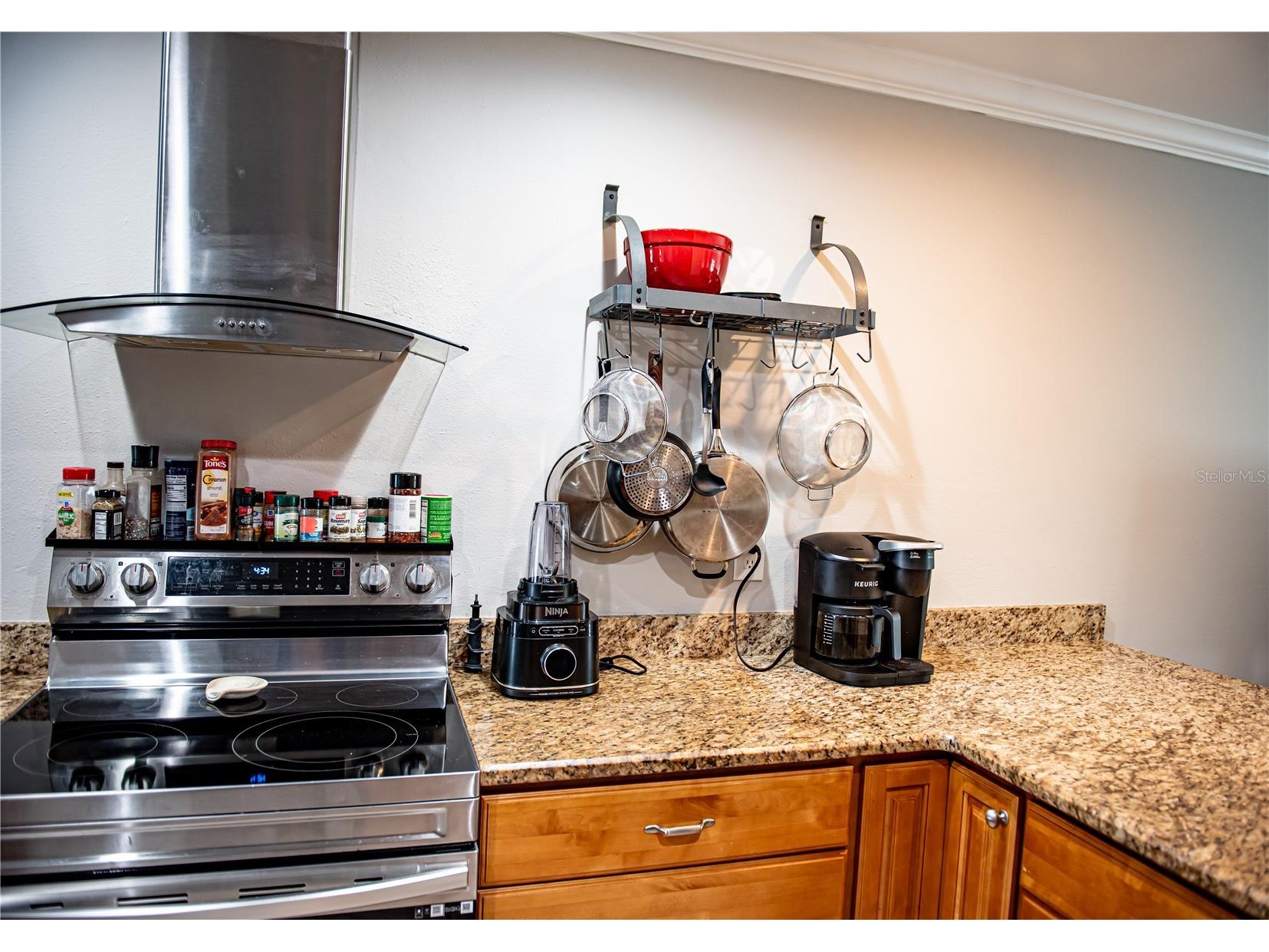 2651 Michael Place #307 Dunedin FL 34698 TB8499437 image9