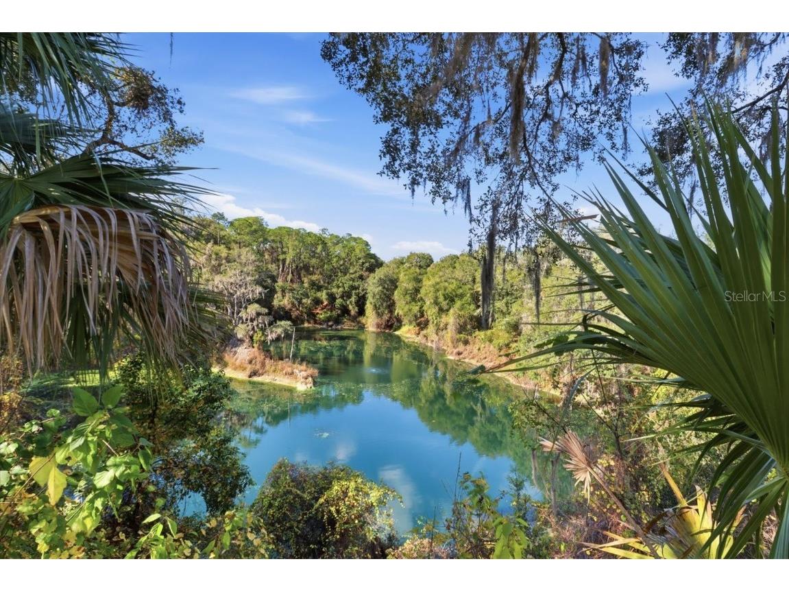 2651 N Canterbury Lake Drive Hernando FL 34442 OM714138 image52