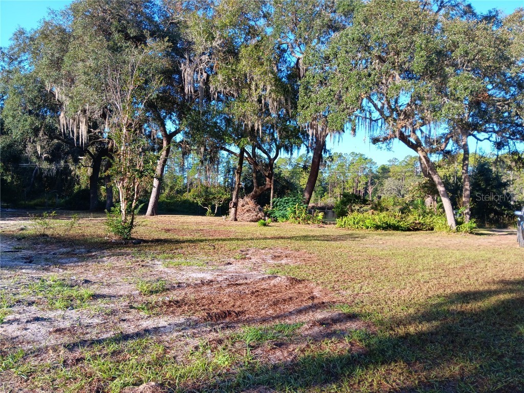 2651 NE 147th Court Silver Springs FL 34488 OM695527 image1