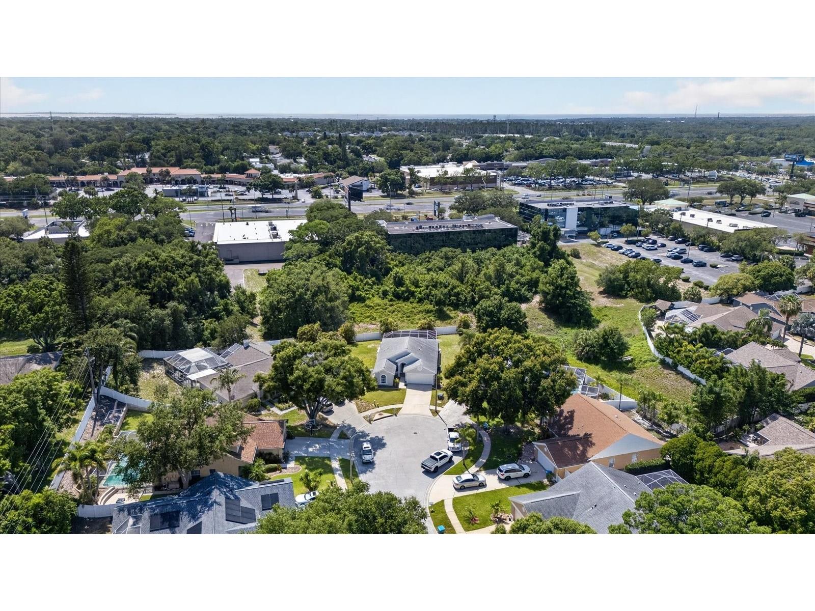 2651 Oleander Court Palm Harbor FL 34684 TB8507769 image48
