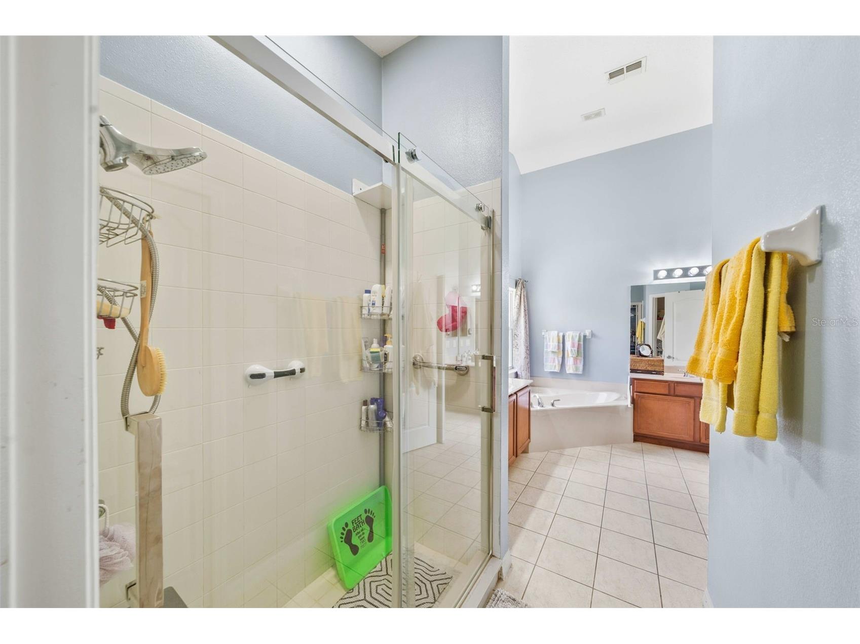 2651 Rambling Oaks Way Kissimmee FL 34746 S5151825 image18