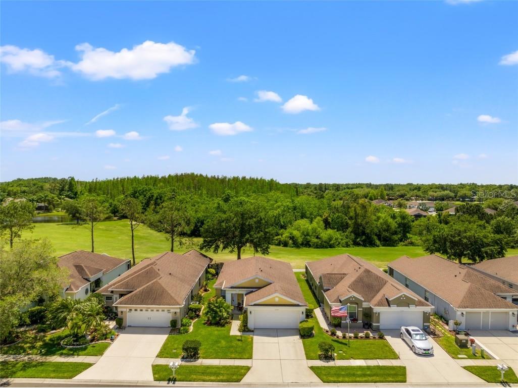 26520 Whirlaway Terrace Wesley Chapel FL 33544 T3516798 image1