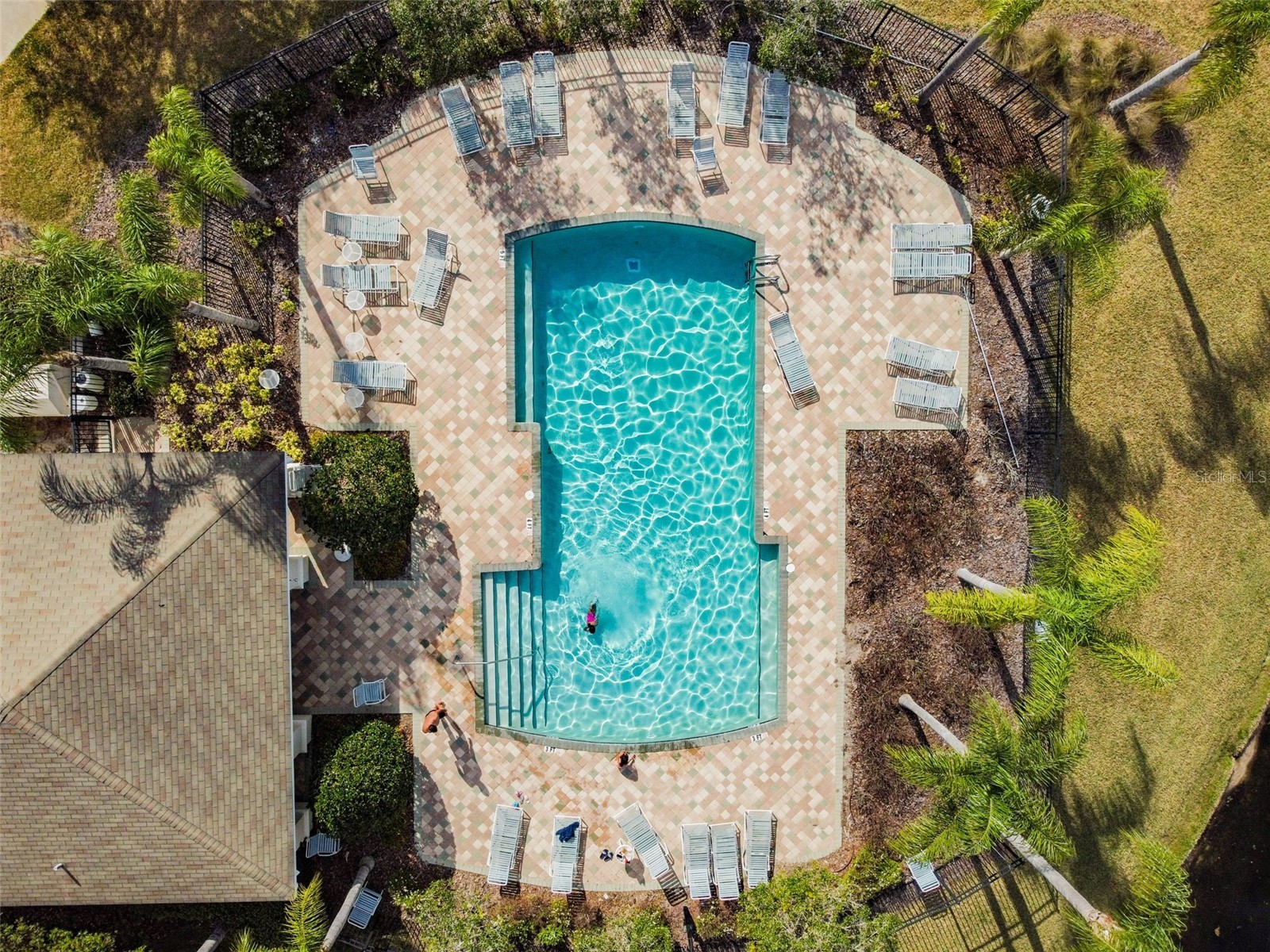 26527 Castleview Way Wesley Chapel FL 33544 TB8494929 image3