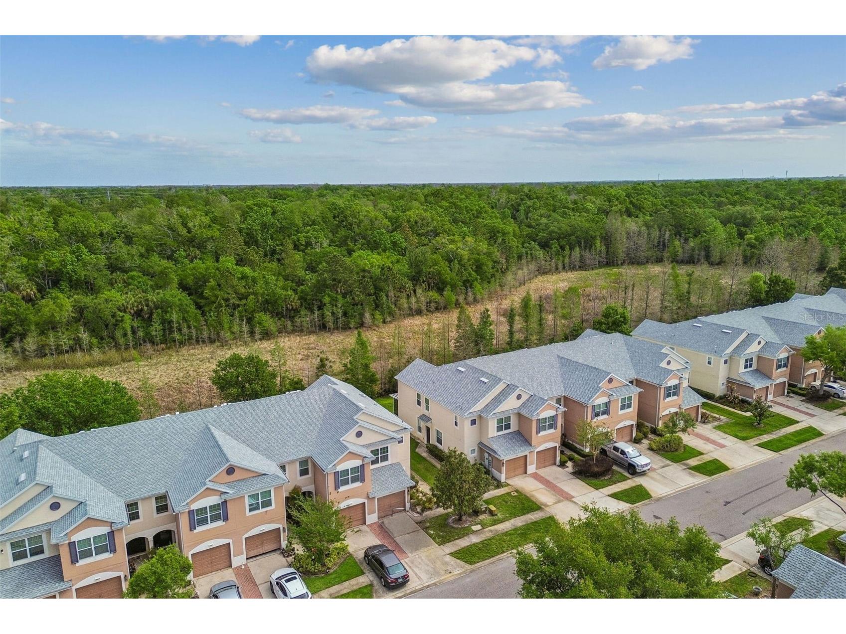 26527 Castleview Way Wesley Chapel FL 33544 TB8494929 image32