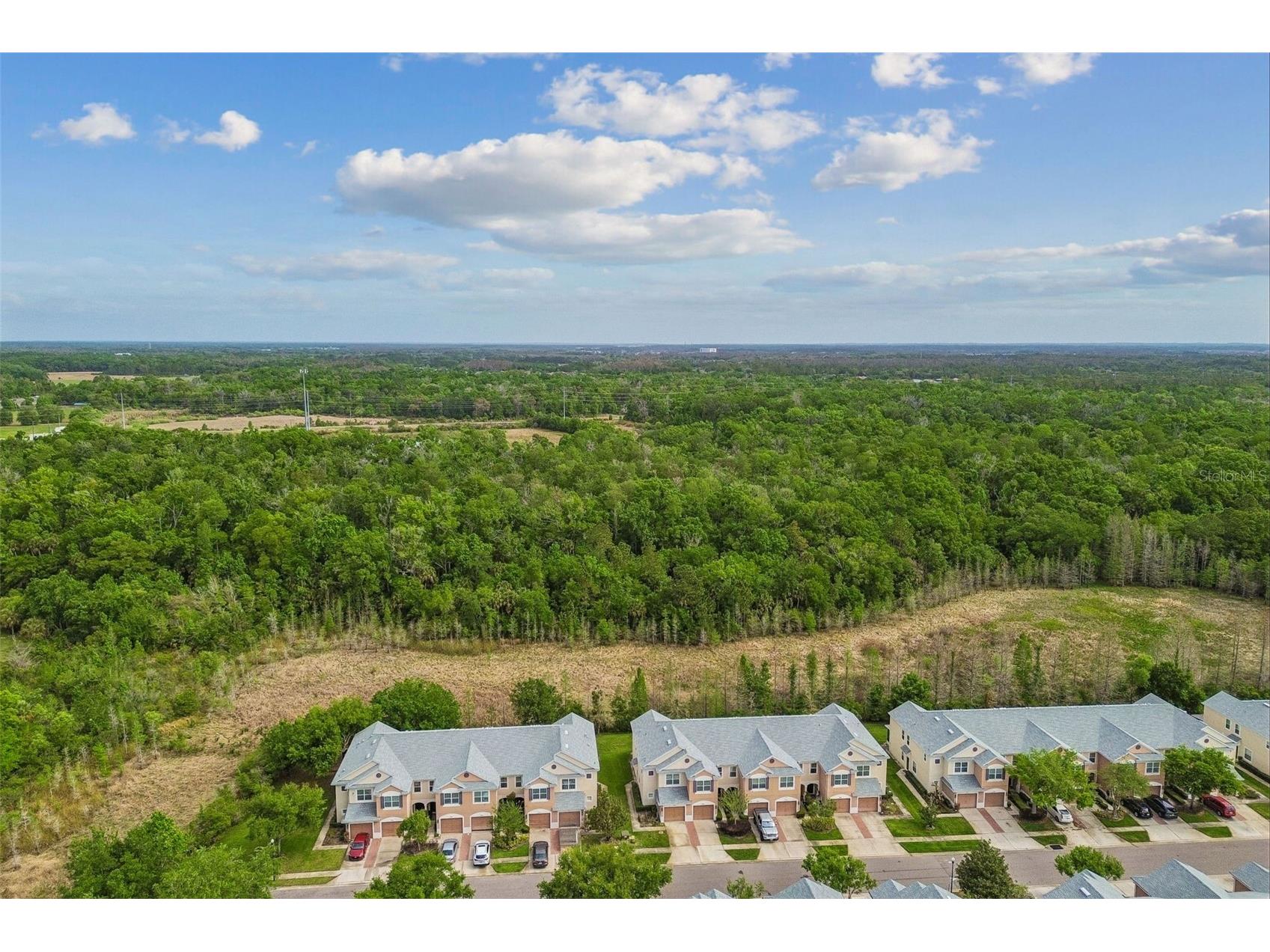 26527 Castleview Way Wesley Chapel FL 33544 TB8494929 image42