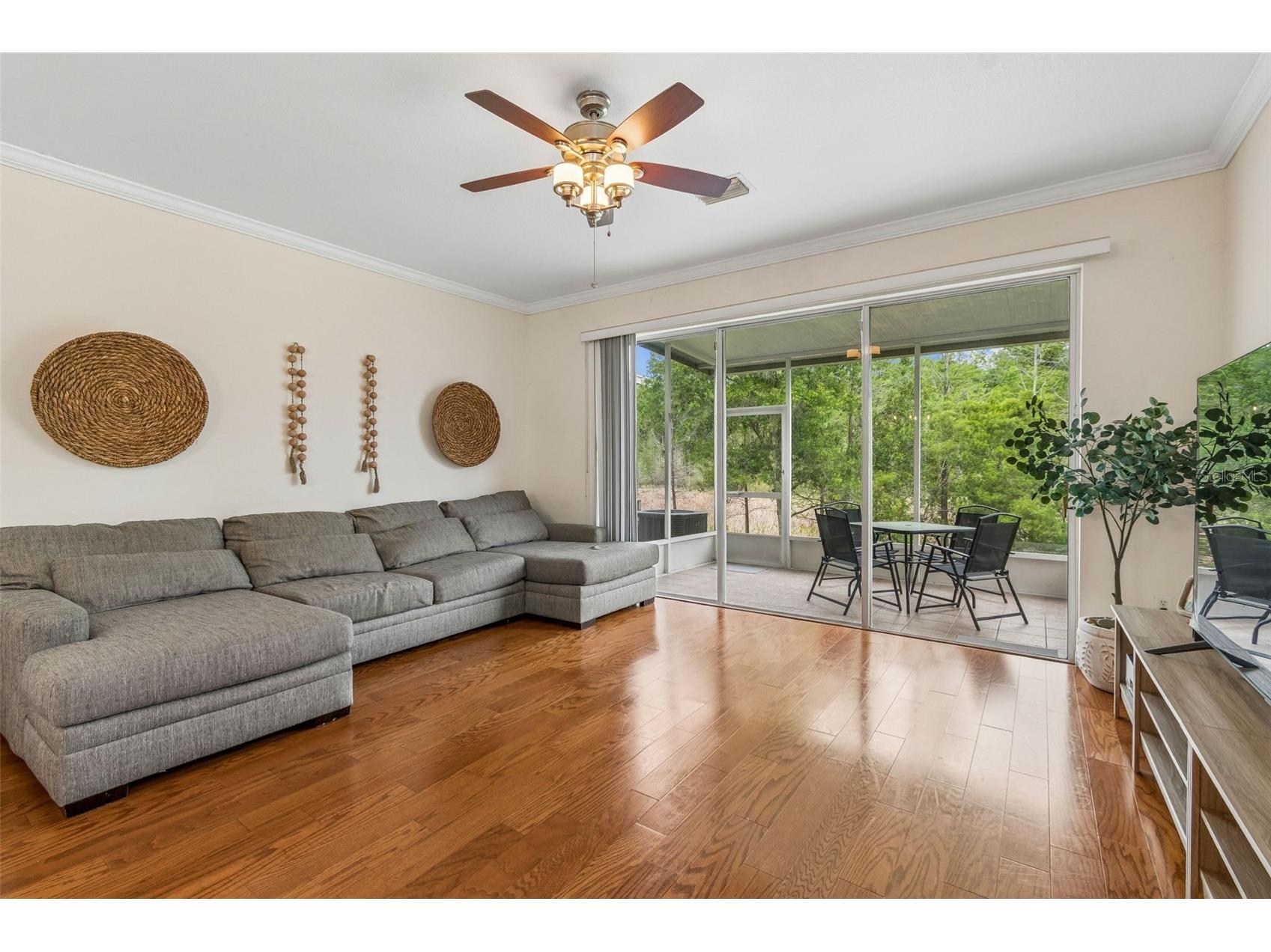 26527 Castleview Way Wesley Chapel FL 33544 TB8494929 image8