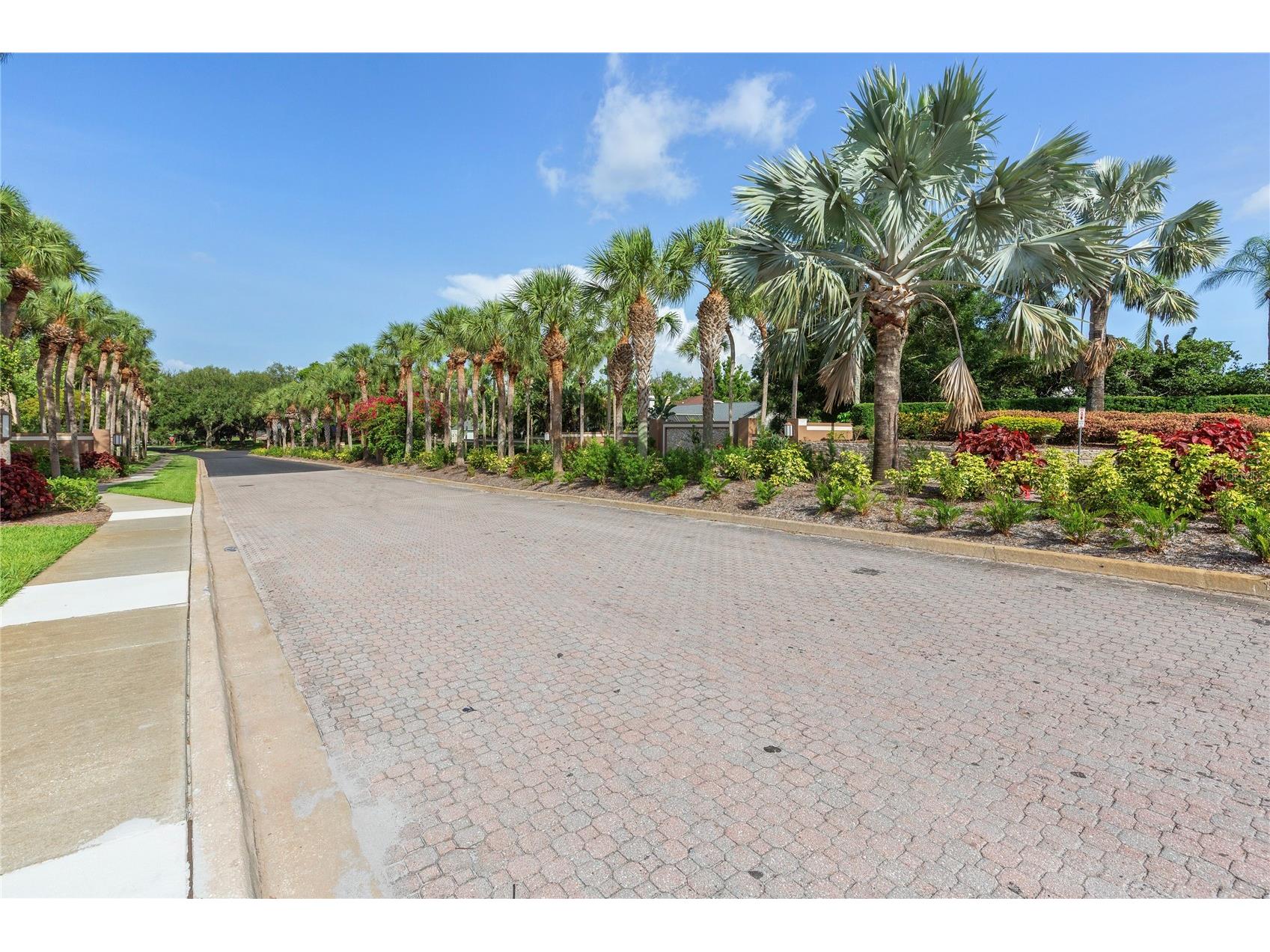 2653 Landing Way Palm Harbor FL 34684 TB8510969 image49