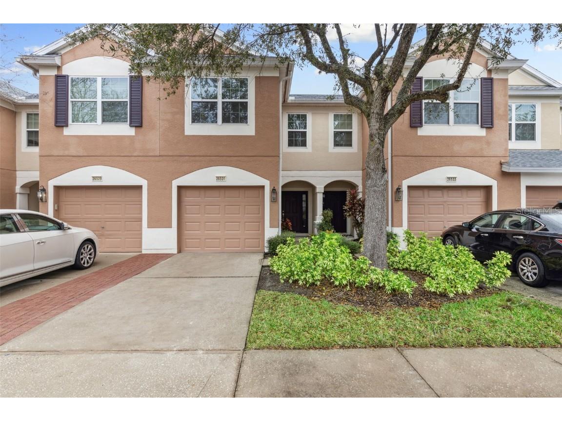 26531 Chimney Spire Lane Wesley Chapel FL 33544 T3513889 image1