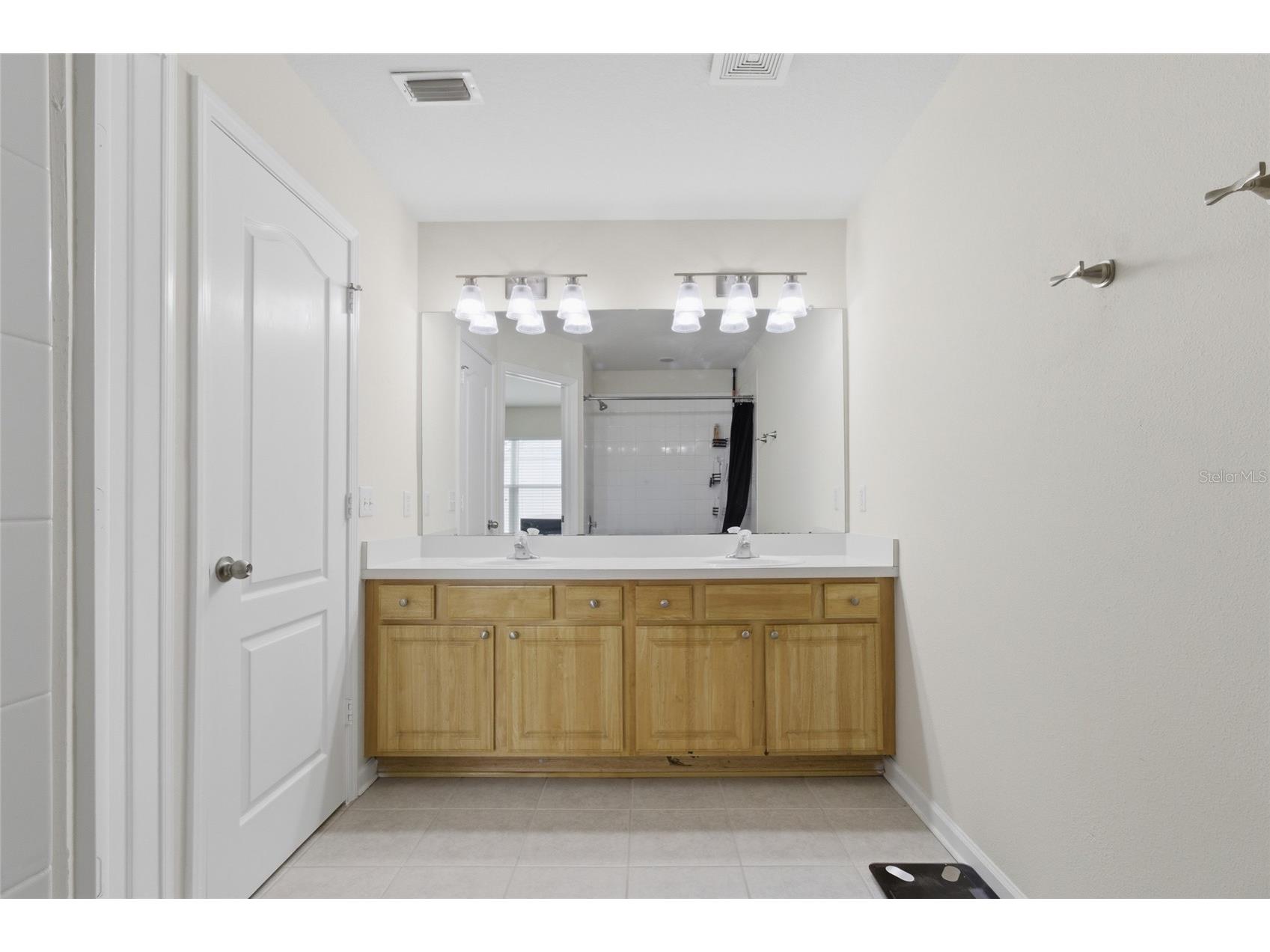 26531 Chimney Spire Lane Wesley Chapel FL 33544 TB8518452 image18
