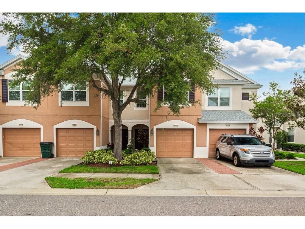 26533 Chimney Spire Lane Wesley Chapel FL 33544 T3535883 image1