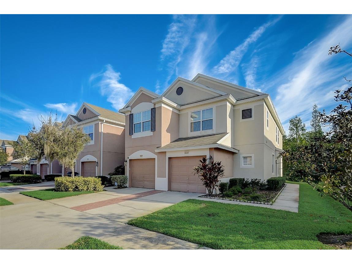 26539 Castleview Way Wesley Chapel FL 33544 T3471036 image1