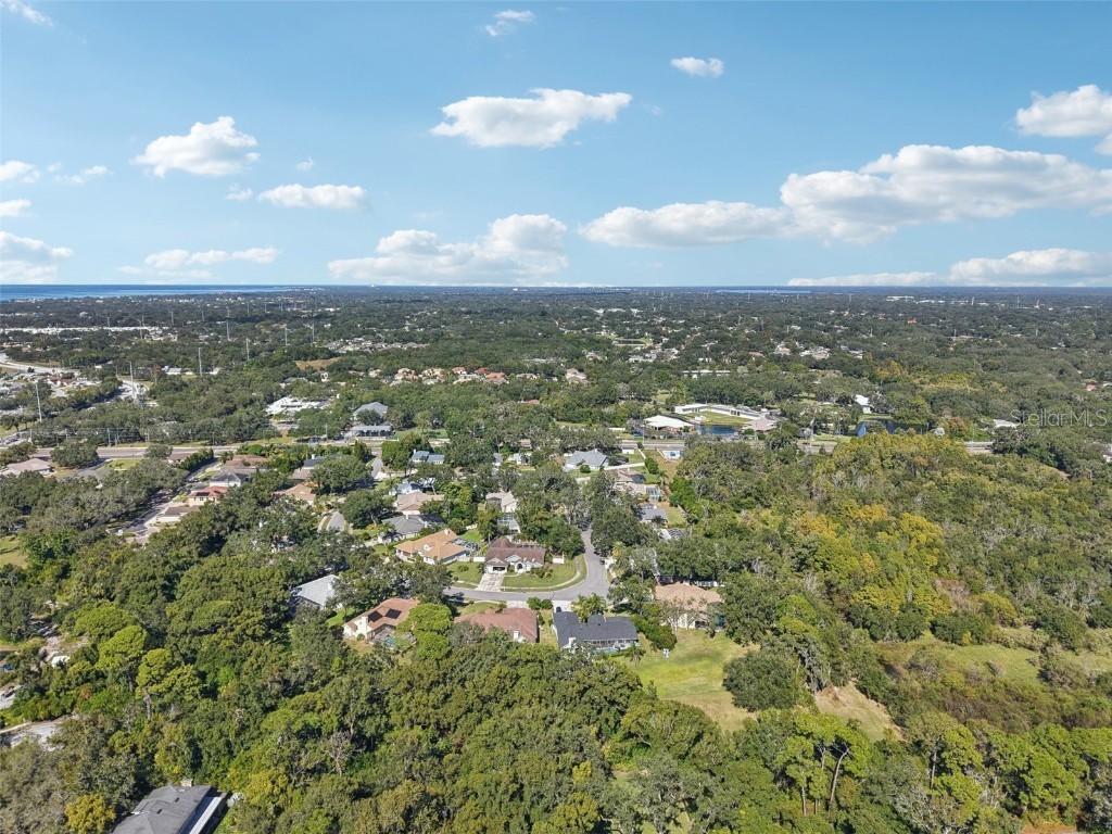 2654 Crystal Circle Dunedin FL 34698 O6358555 image41