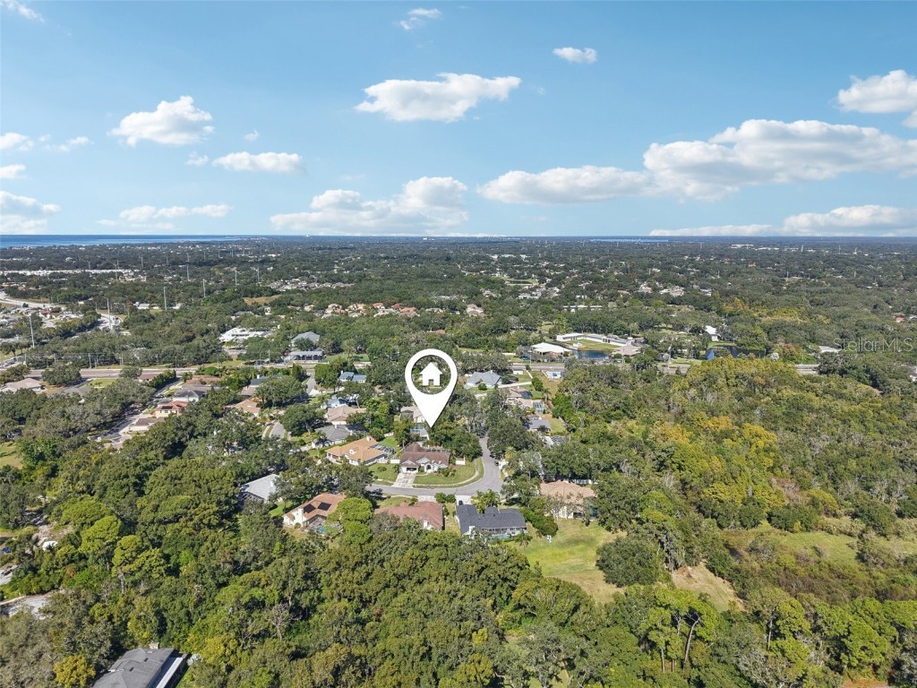 2654 Crystal Circle Dunedin FL 34698 O6358555 image42