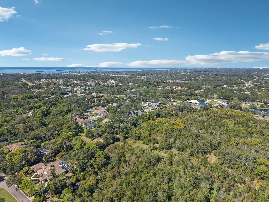 2654 Crystal Circle Dunedin FL 34698 O6358555 image44