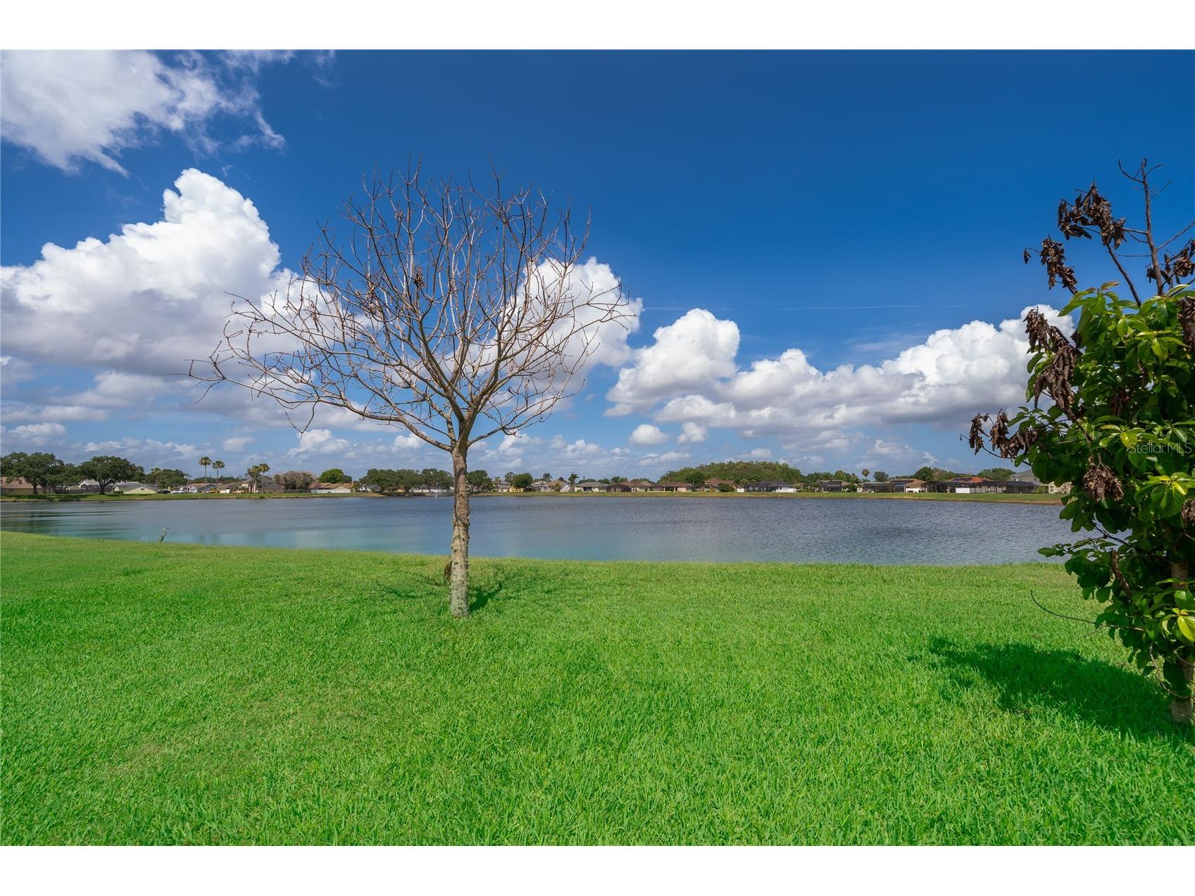 2654 Hawthorne Lane Kissimmee FL 34743 O6408755 image28