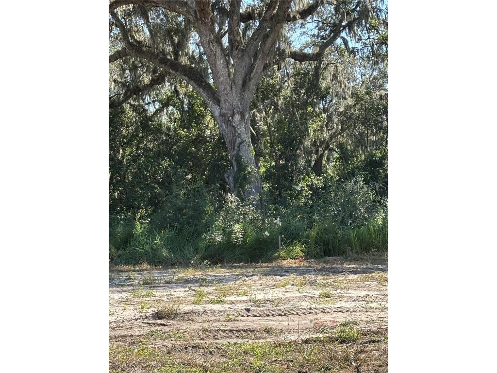 2654 Rosemond Court Apopka FL 32712 O6355760 image4