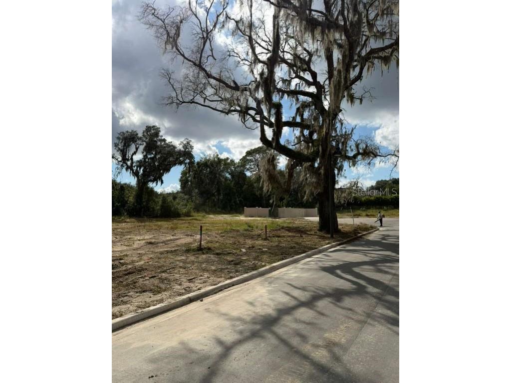 2654 Rosemond Court Apopka FL 32712 O6355760 image5