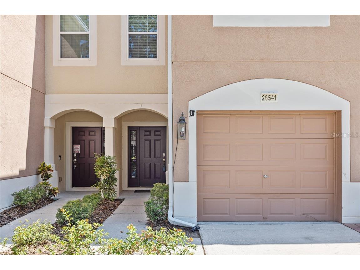 26541 Chimney Spire Lane Wesley Chapel FL 33544 T3446812 image1