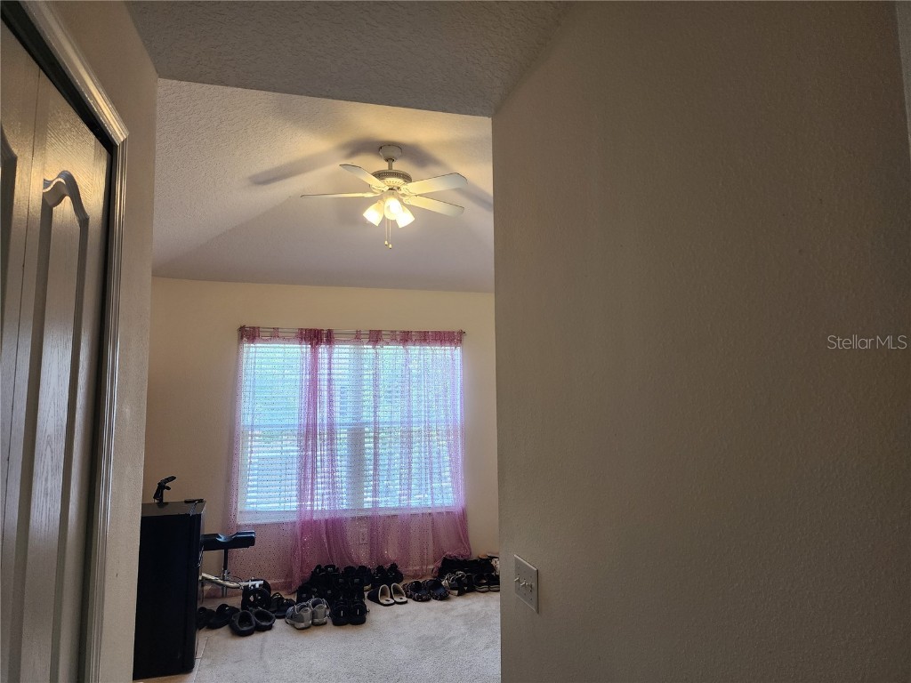 26541 Chimney Spire Lane Wesley Chapel FL 33544 TB8392429 image13