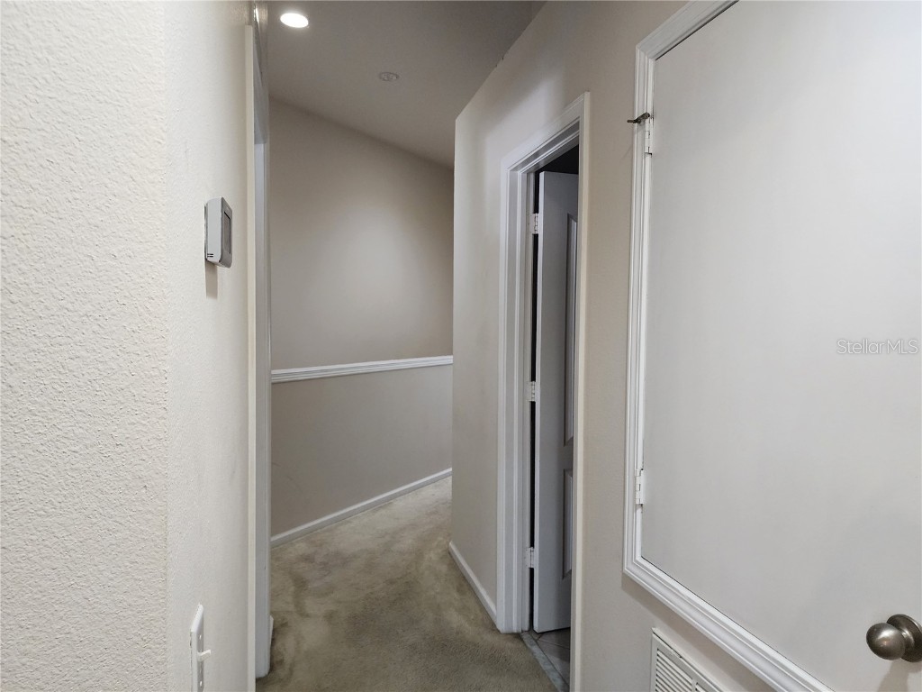 26541 Chimney Spire Lane Wesley Chapel FL 33544 TB8392429 image14