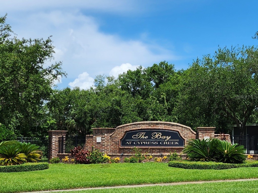 26541 Chimney Spire Lane Wesley Chapel FL 33544 TB8392429 image17