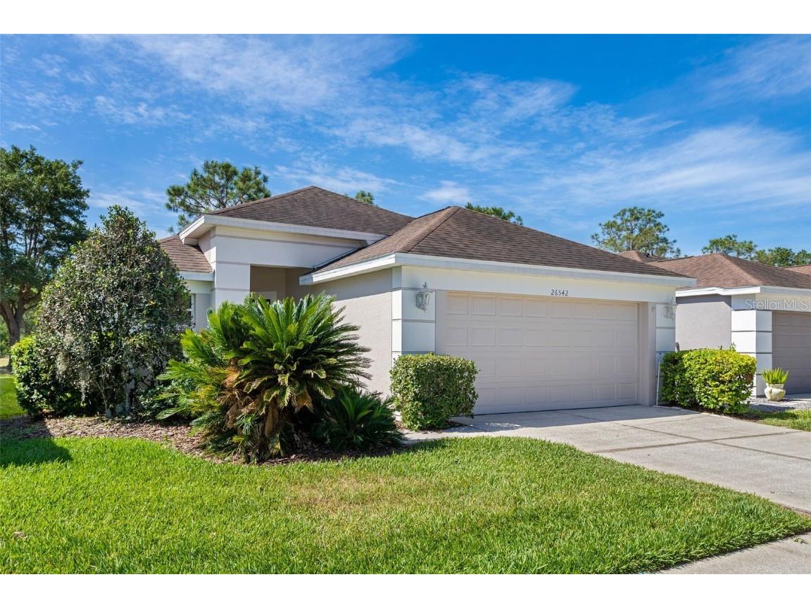 26542 Whirlaway Terrace Wesley Chapel FL 33544 T3437999 image1