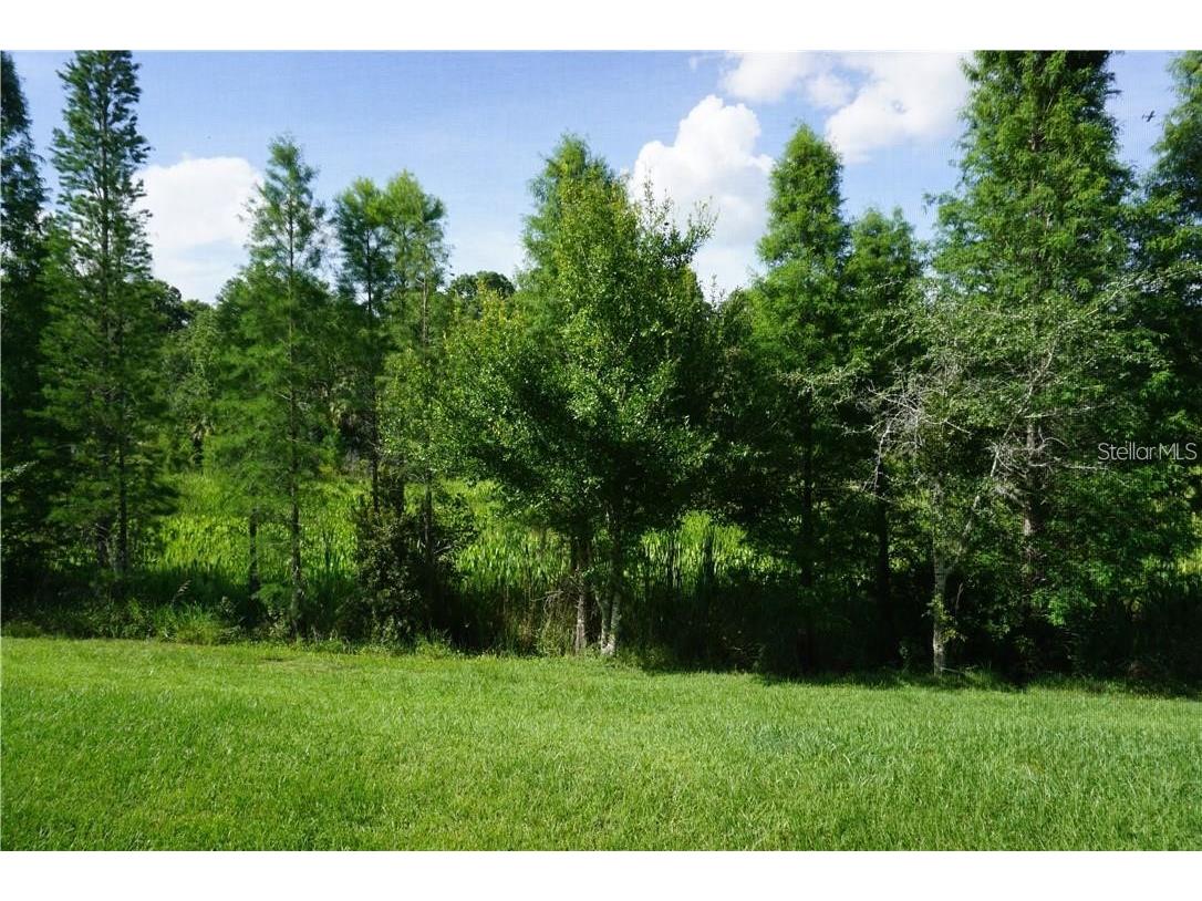 26543 Castleview Way Wesley Chapel FL 33544 TB8520616 image15