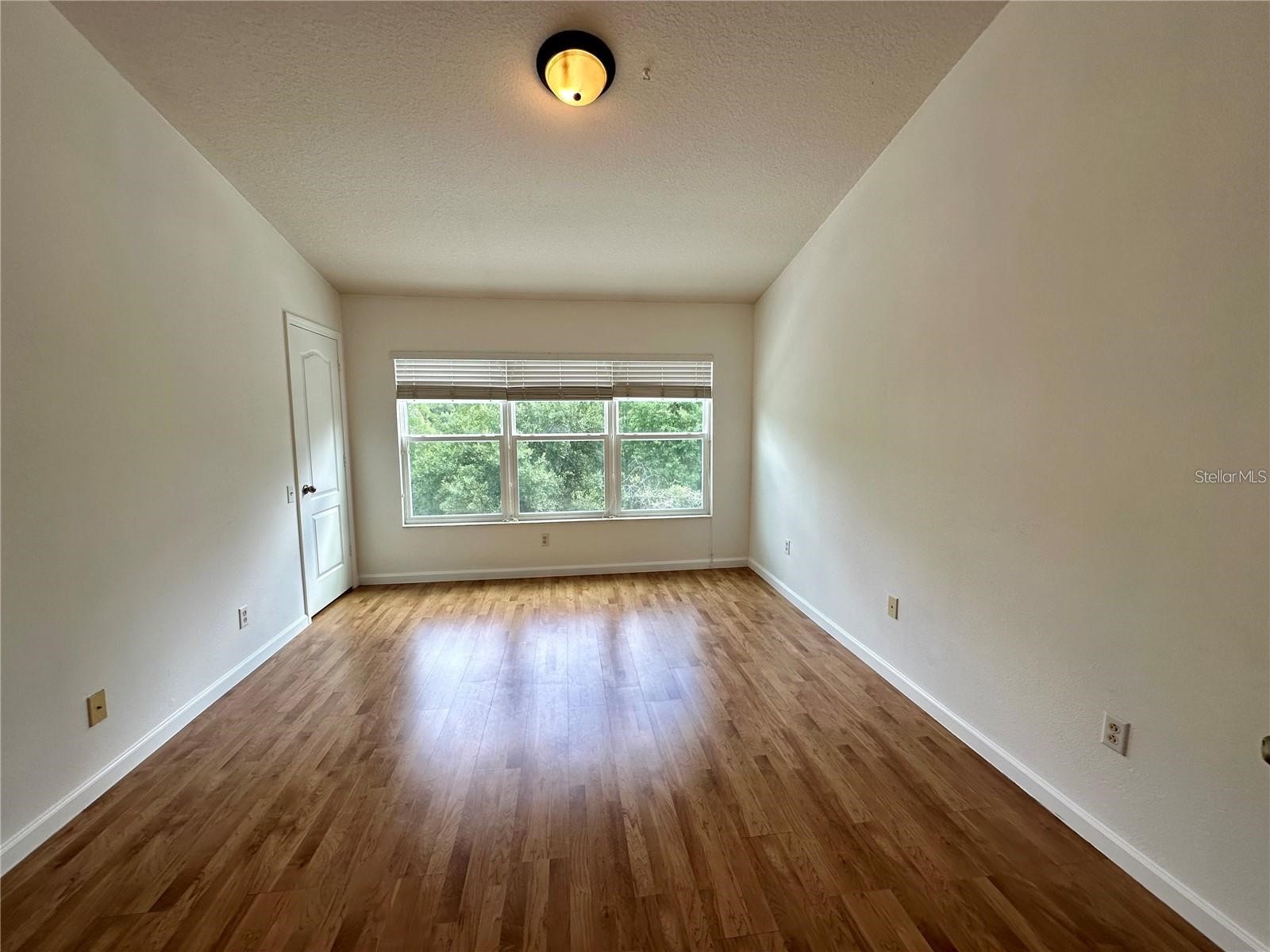 26543 Castleview Way Wesley Chapel FL 33544 TB8520616 image18