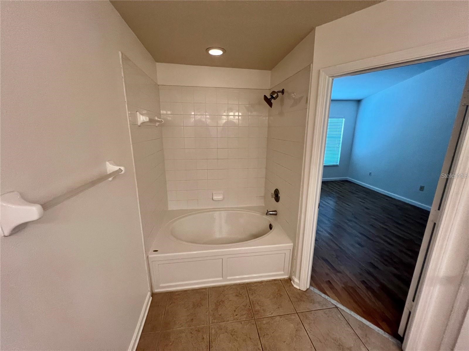 26543 Castleview Way Wesley Chapel FL 33544 TB8520616 image21