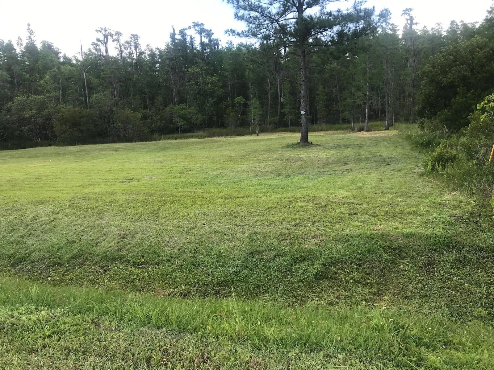 26545 C C Lane Wesley Chapel FL 33544 G5109400 image1