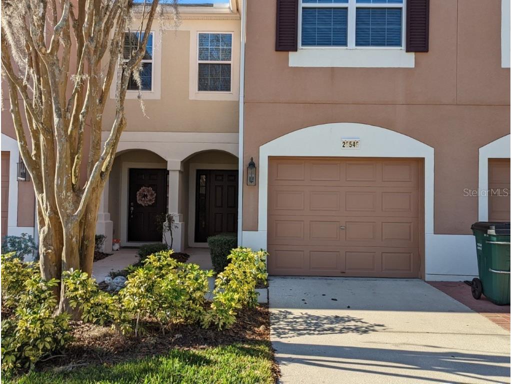 26546 Chimney Spire Lane Wesley Chapel FL 33544 T3440456 image1