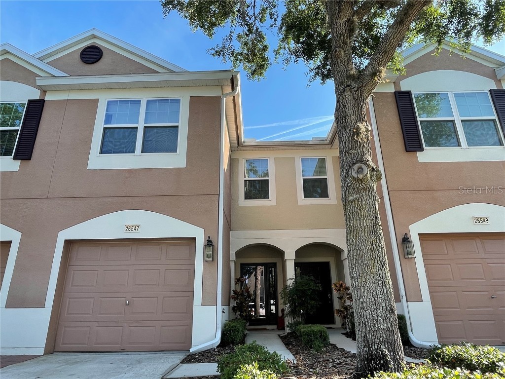 26547 Chimney Spire Lane Wesley Chapel FL 33544 T3547011 image1