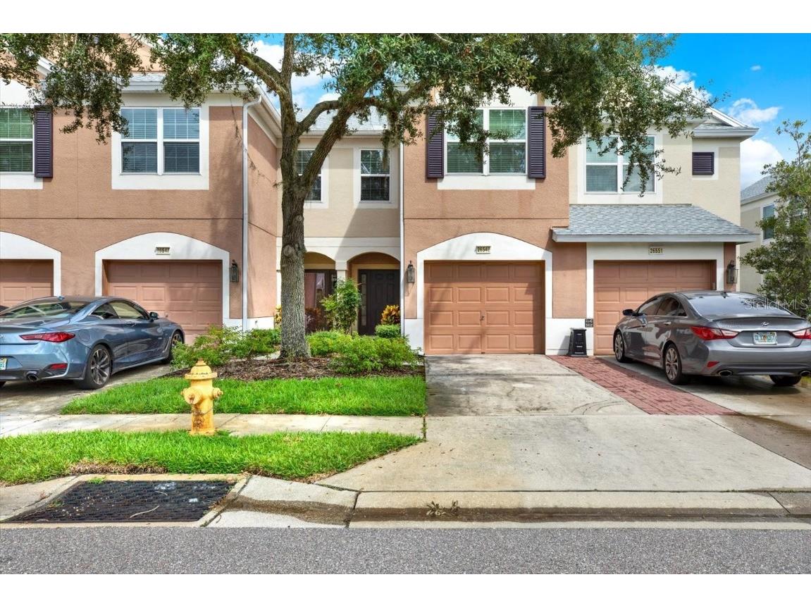 26549 Chimney Spire Lane Wesley Chapel FL 33544 TB8309270 image1