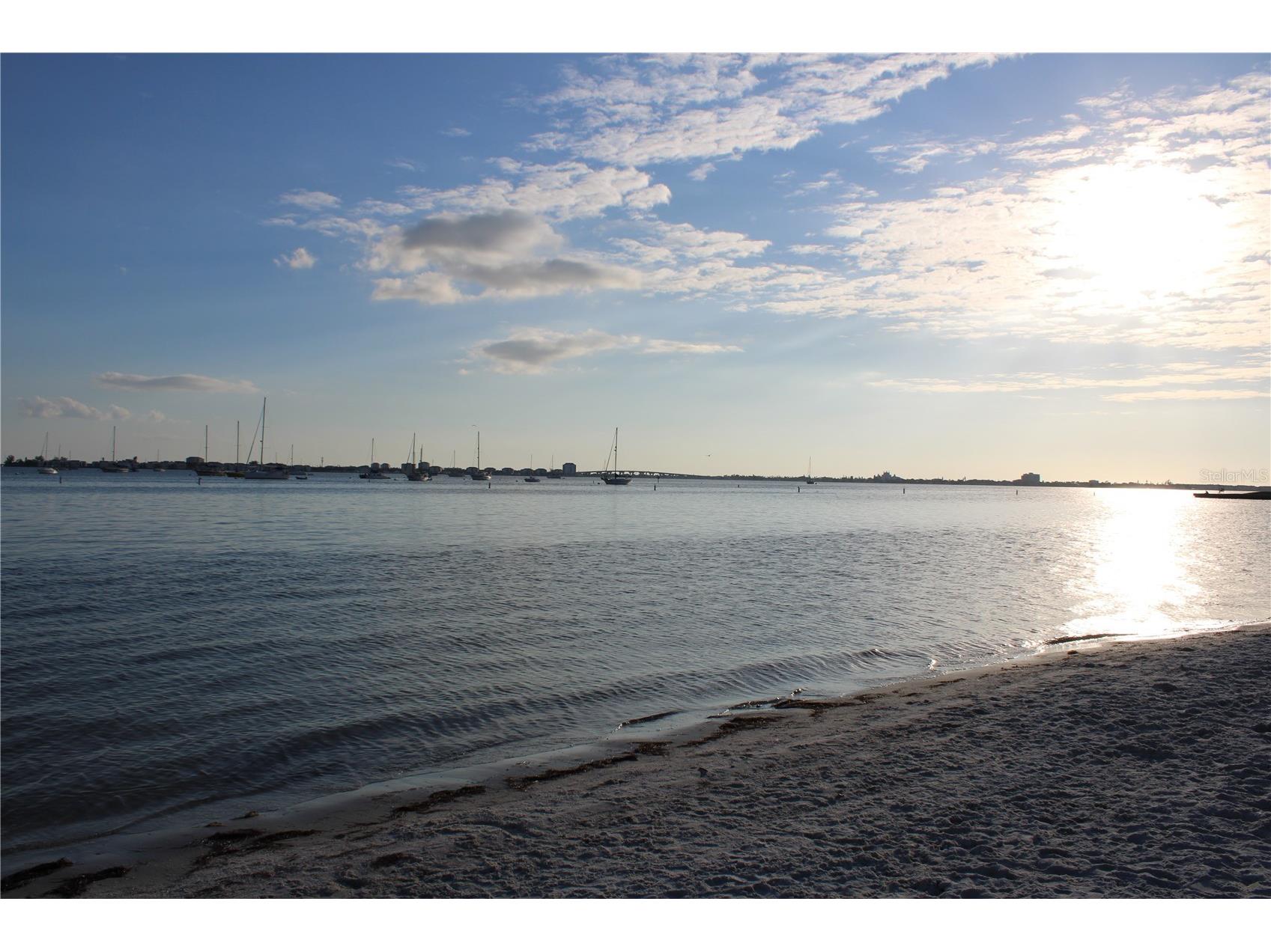 2655 Miriam Street S Gulfport FL 33711 TB8487341 image43