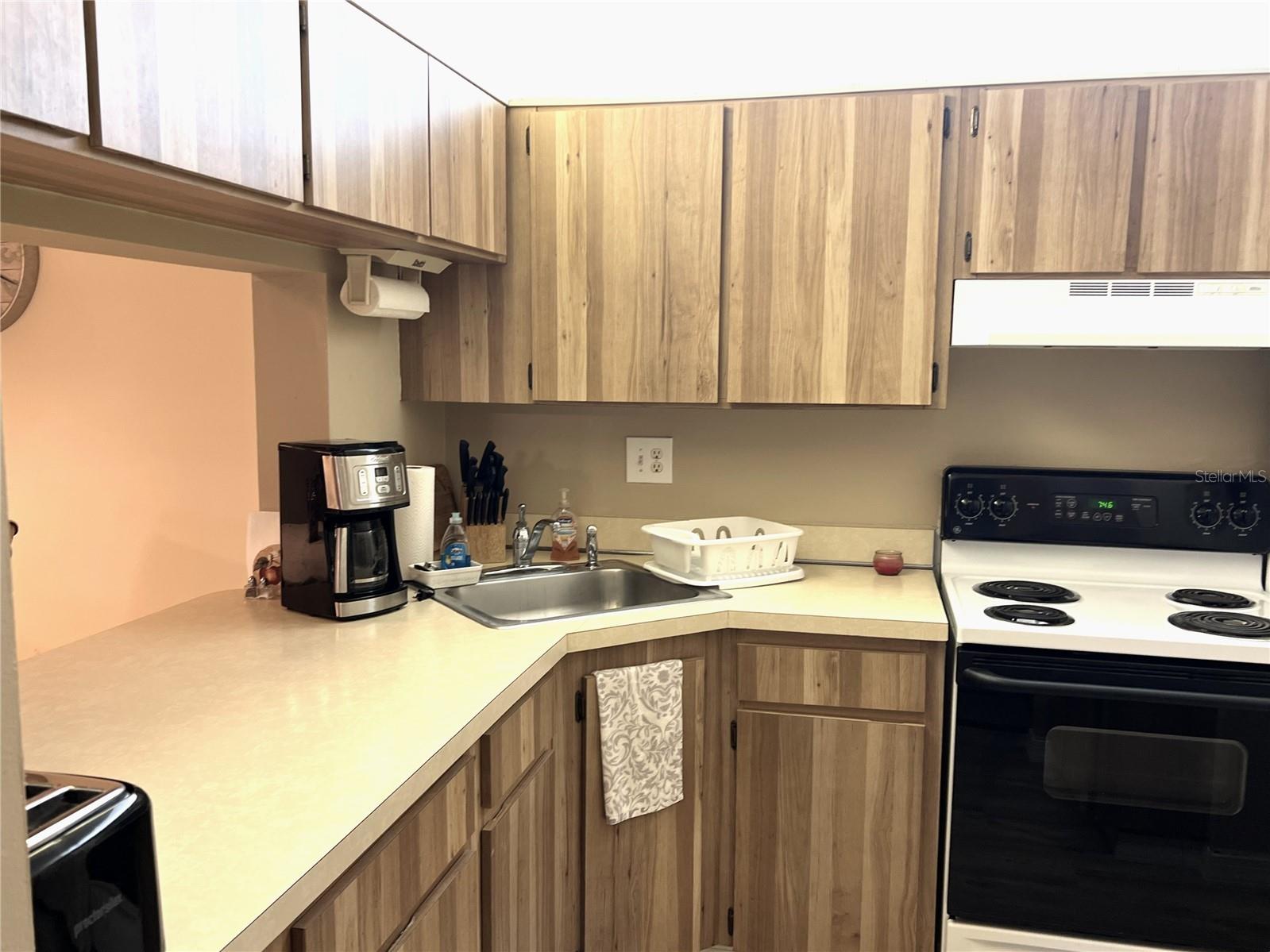 2655 Pine Ridge Way N #B1 Palm Harbor FL 34684 TB8509933 image14