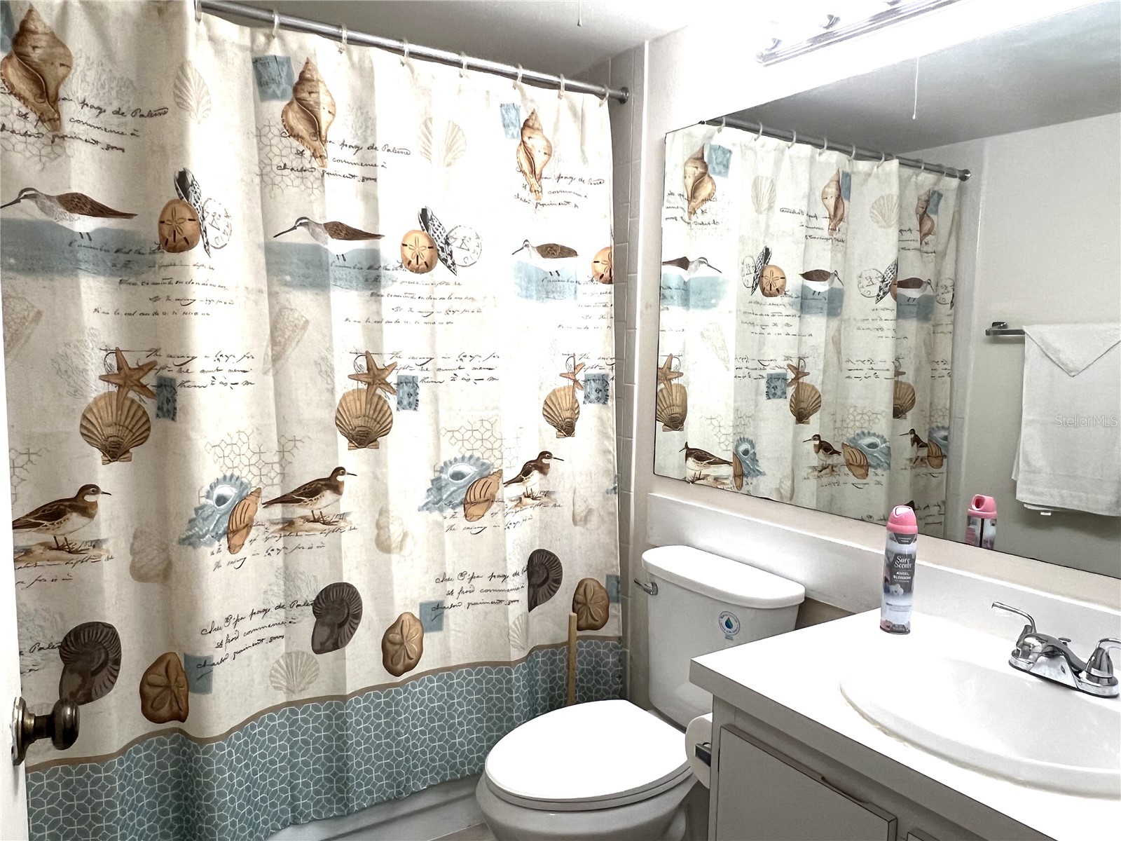 2655 Pine Ridge Way N #B1 Palm Harbor FL 34684 TB8509933 image19