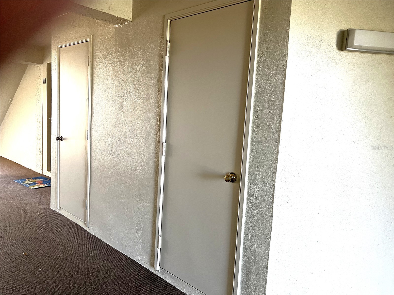 2655 Pine Ridge Way N #B1 Palm Harbor FL 34684 TB8509933 image3