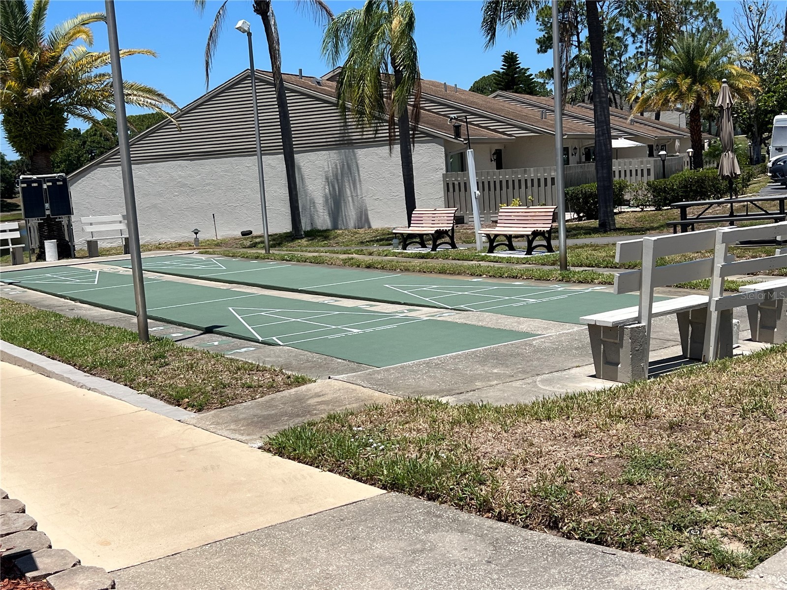 2655 Pine Ridge Way N #B1 Palm Harbor FL 34684 TB8509933 image35