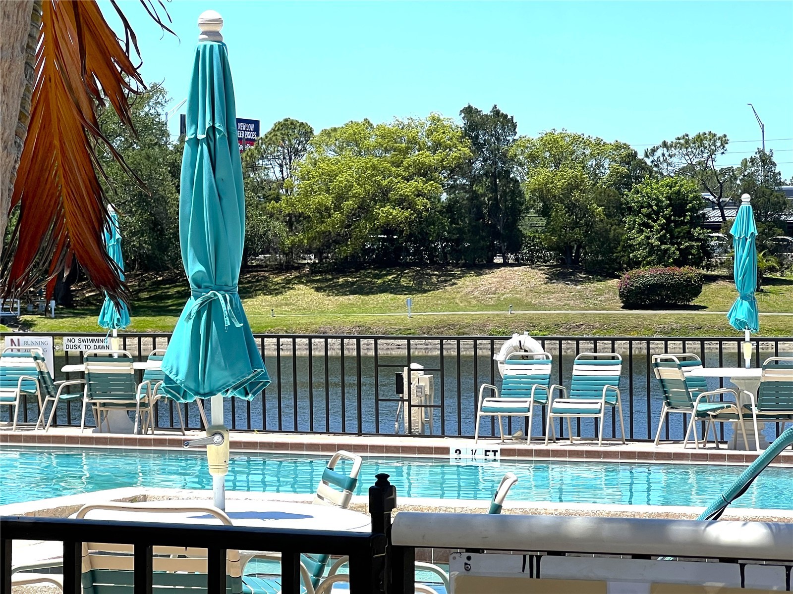 2655 Pine Ridge Way N #B1 Palm Harbor FL 34684 TB8509933 image37
