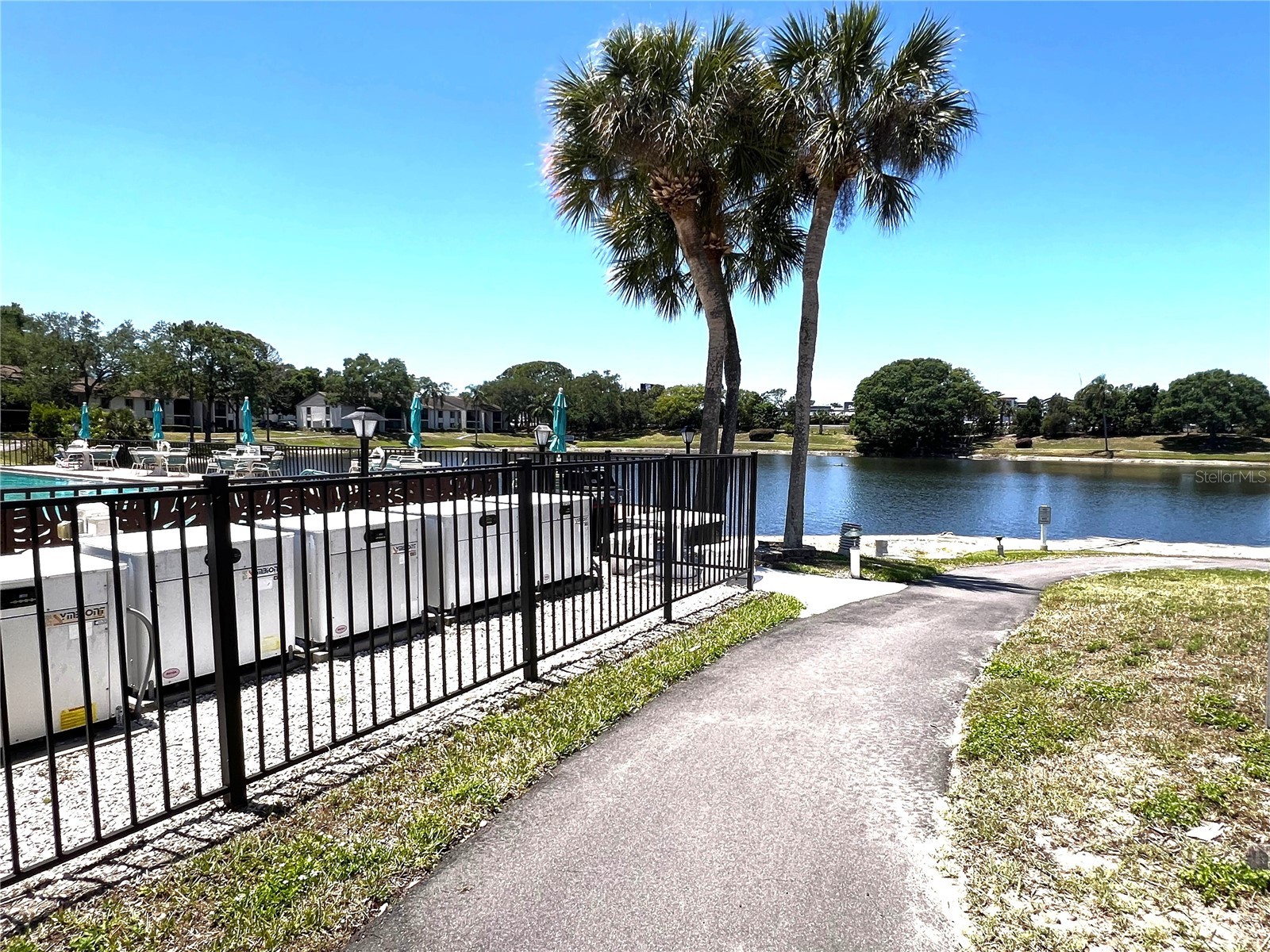 2655 Pine Ridge Way N #B1 Palm Harbor FL 34684 TB8509933 image40