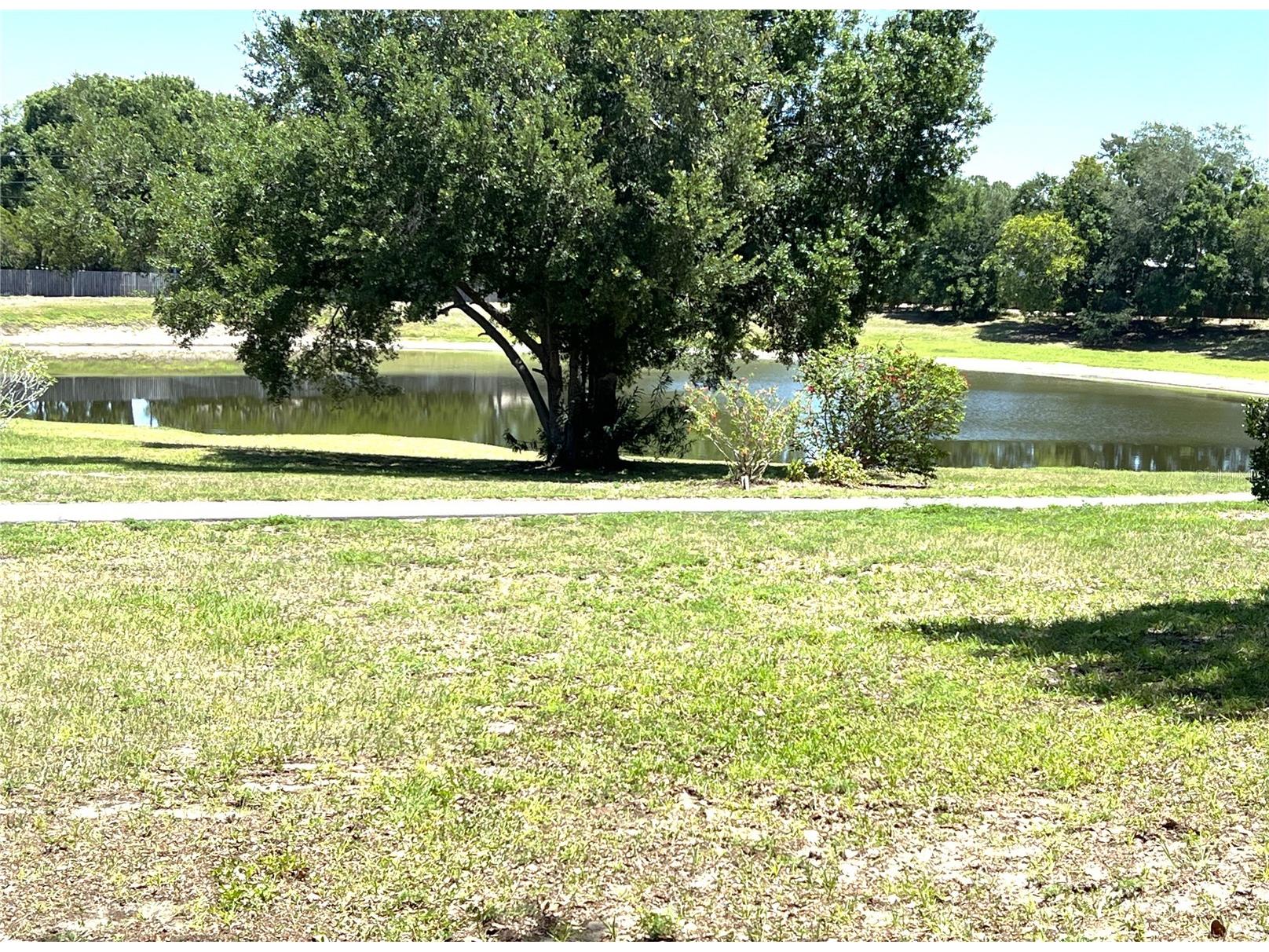 2655 Pine Ridge Way N #B1 Palm Harbor FL 34684 TB8509933 image7