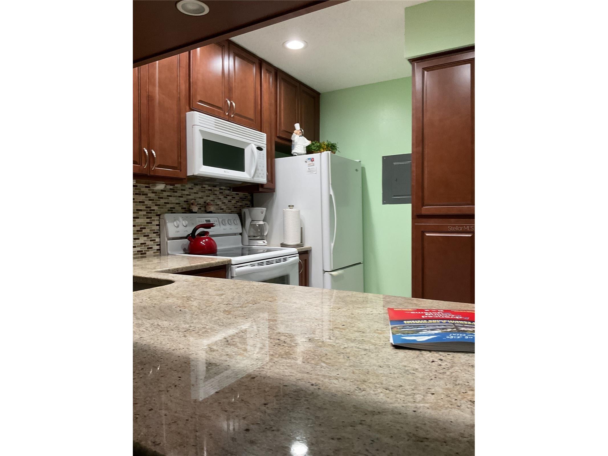 2655 Pine Ridge Way N #D3 Palm Harbor FL 34684 W7886861 image10