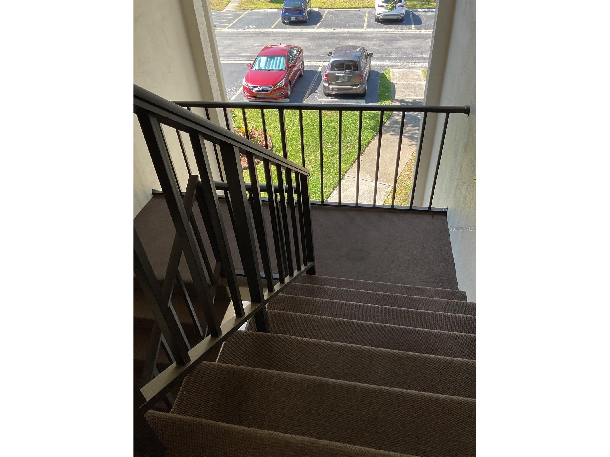 2655 Pine Ridge Way N #D3 Palm Harbor FL 34684 W7886861 image2
