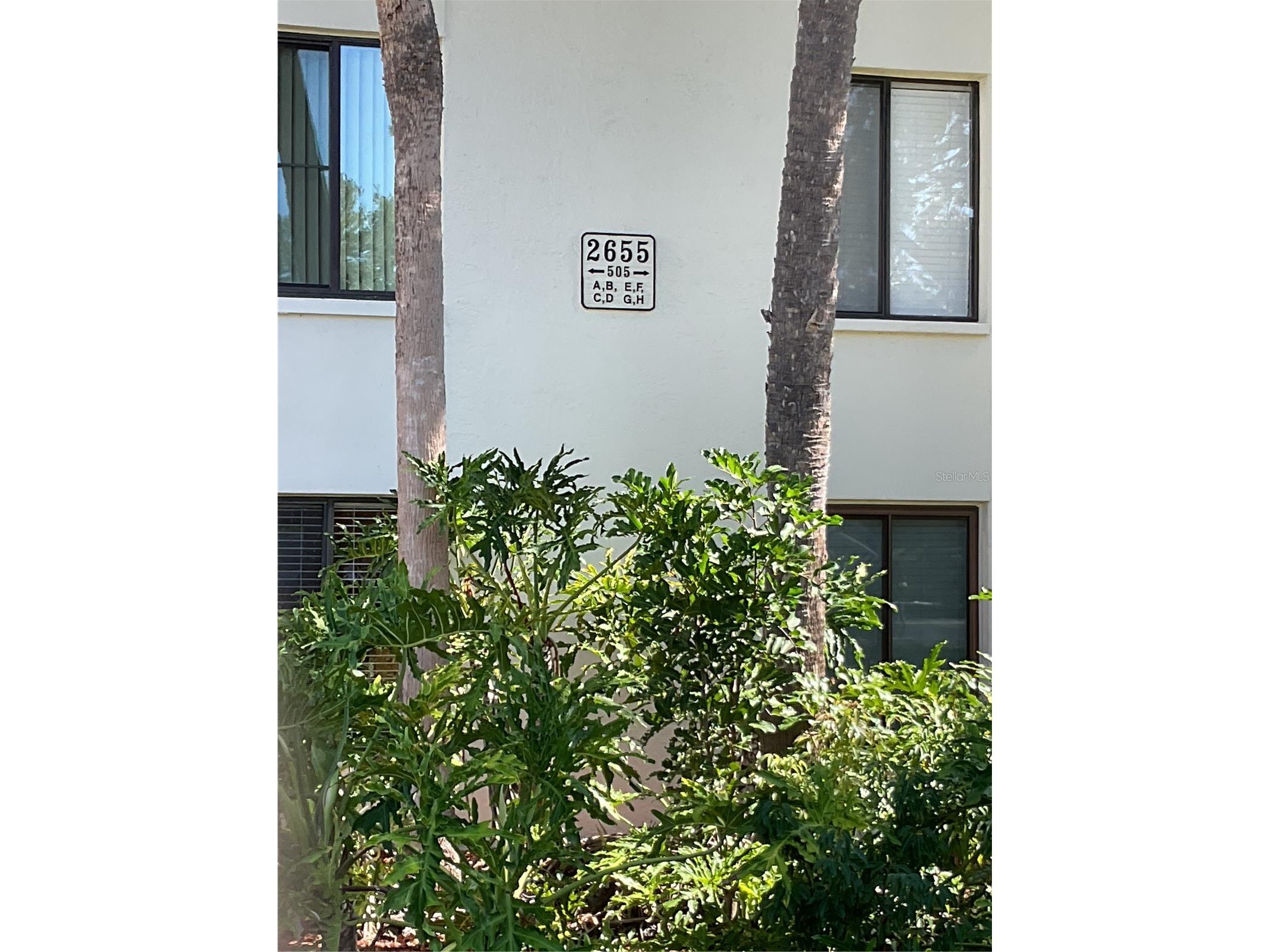 2655 Pine Ridge Way N #D3 Palm Harbor FL 34684 W7886861 image3