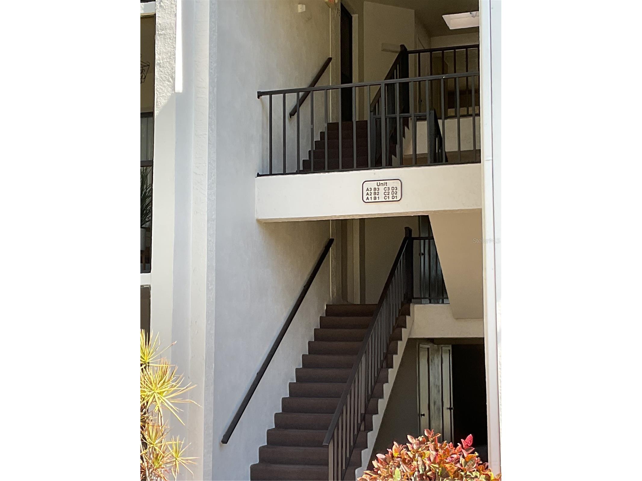 2655 Pine Ridge Way N #D3 Palm Harbor FL 34684 W7886861 image4