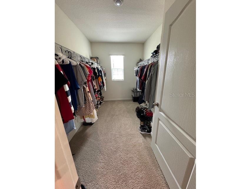 2655 Swooping Sparrow Drive Harmony FL 34773 K4902914 image27