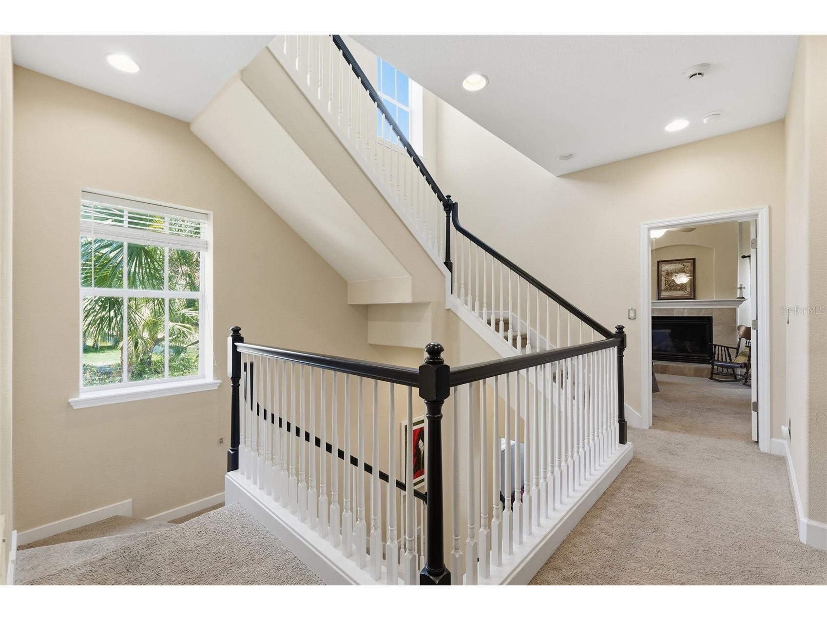 2656 Tanglewood Trail Palm Harbor FL 34685 TB8512248 image18