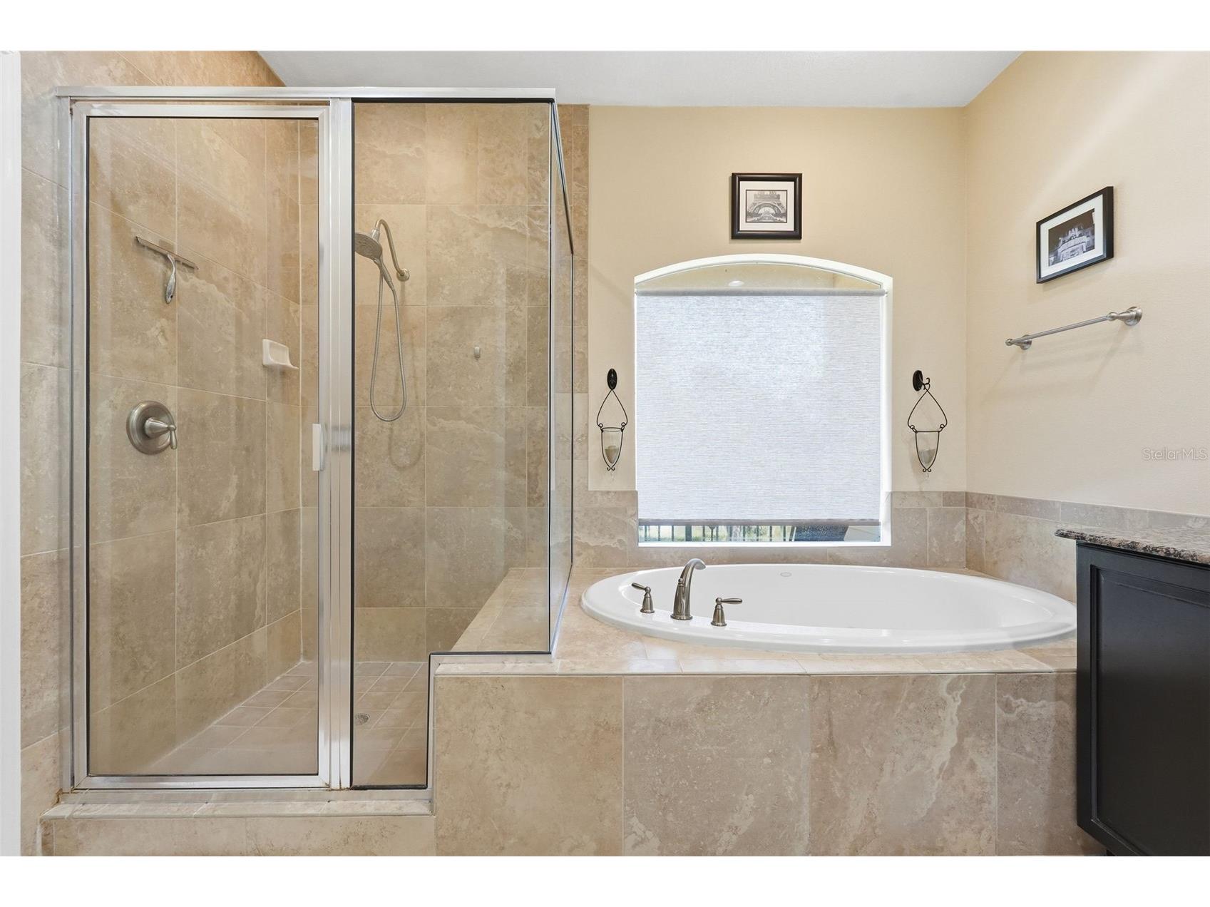 2656 Tanglewood Trail Palm Harbor FL 34685 TB8512248 image25