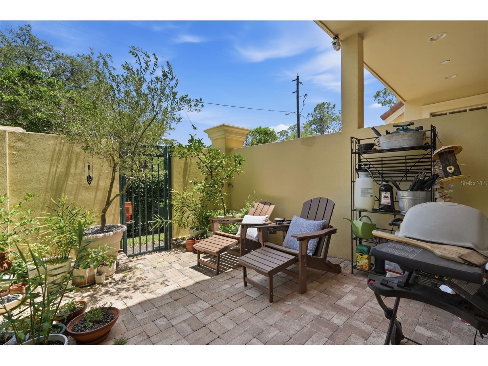 2656 Tanglewood Trail Palm Harbor FL 34685 TB8512248 image38